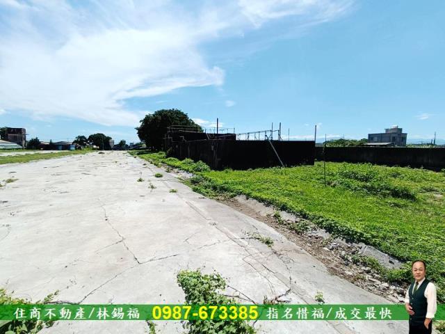 台南養雞場-10