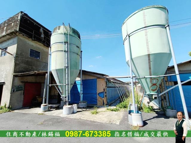 台南養雞場-12
