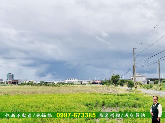 台南養雞場-3