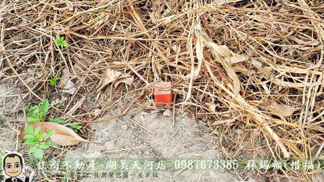 台南農地-9