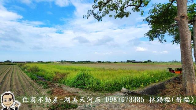台南農地-7
