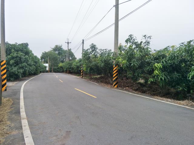 玉井農地-9