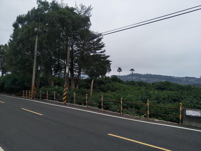 玉井農地-4