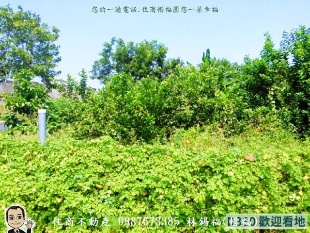 北區建地-1