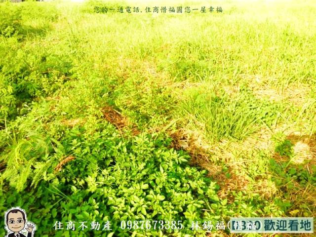 北區建地-5