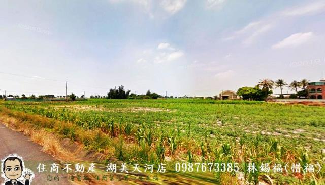 鹽水農地-2