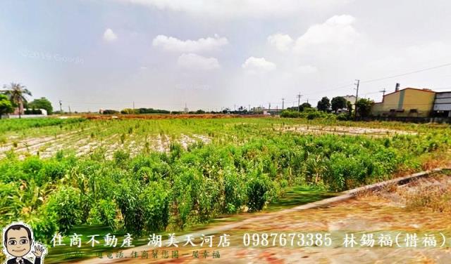 鹽水農地-5