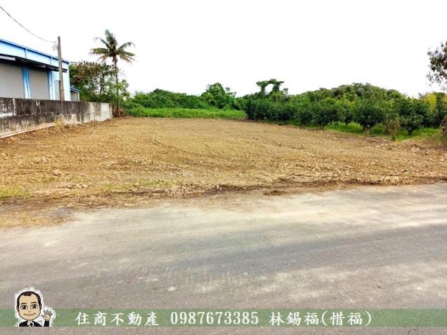 台南農地-7