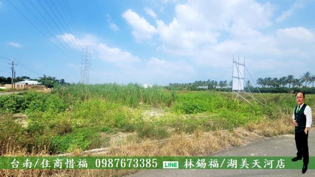 新市農地-3