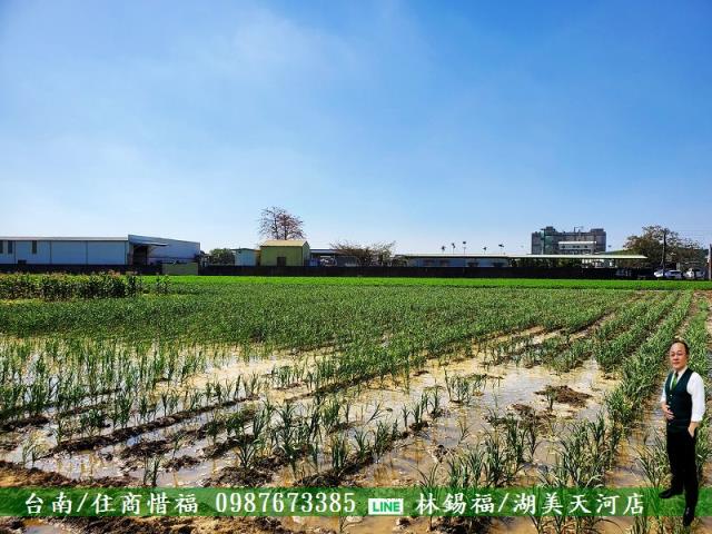 佳里農地-4