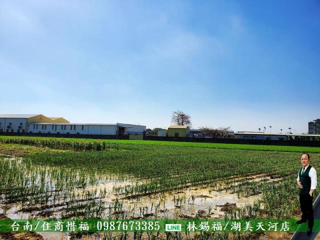 佳里農地-5
