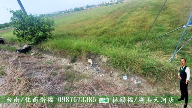善化農地-7
