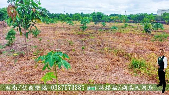 仁德農地-3