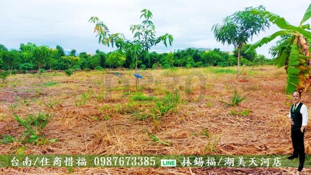 仁德農地-4