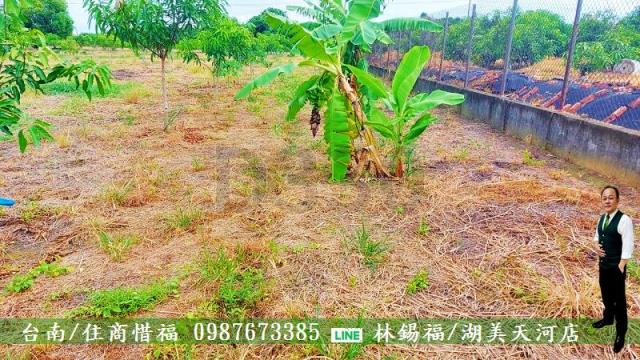 仁德農地-6