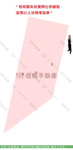 西港農地-14