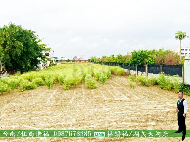 安南農地-4
