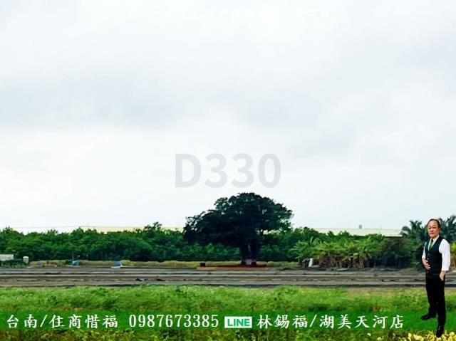 安南農地-8