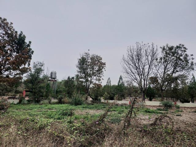 台南農地-3