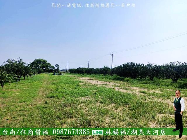 台南佳里農地-2