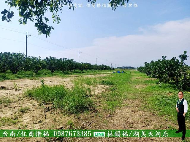 台南佳里農地-3