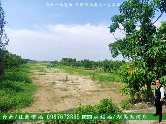 台南佳里農地-4