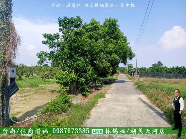 台南佳里農地-5