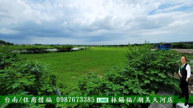 新市農地-11
