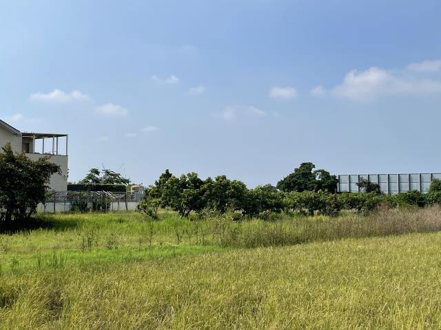 歸仁農地-3