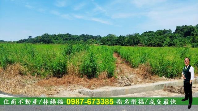 官田農地-4