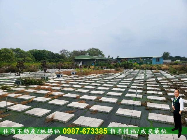 仁德農地-9