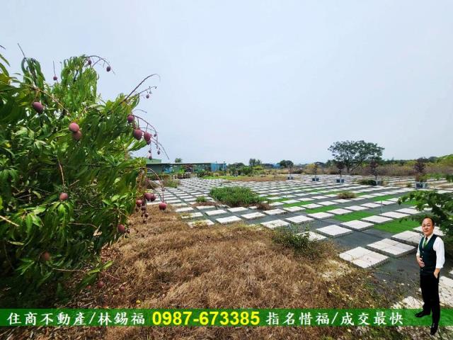 仁德農地-10
