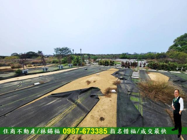 仁德農地-11