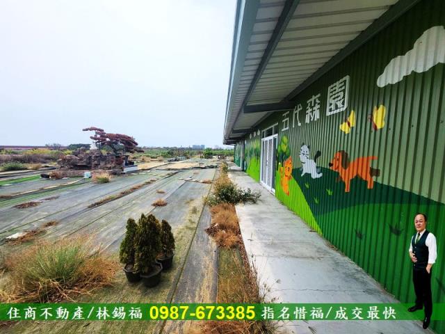 仁德農地-12
