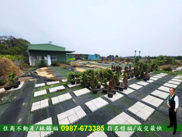 仁德農地-13