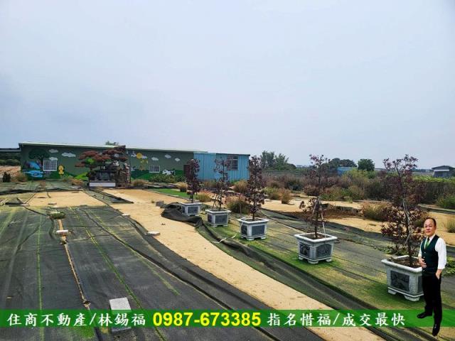 仁德農地-6