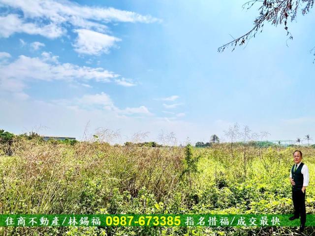 台南安南農地-4
