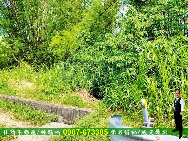 台南南化農地-7