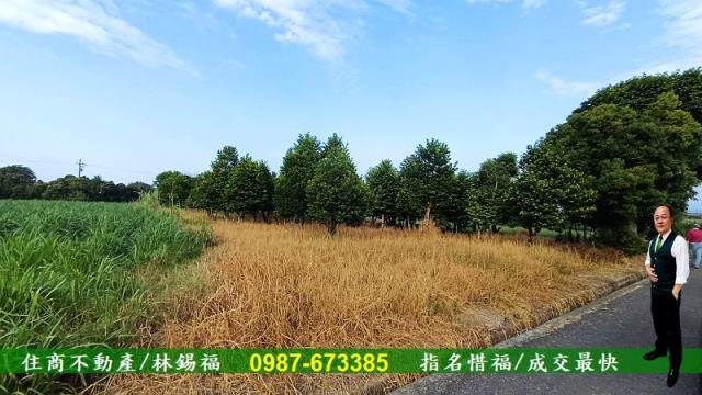 台南善化農地-0