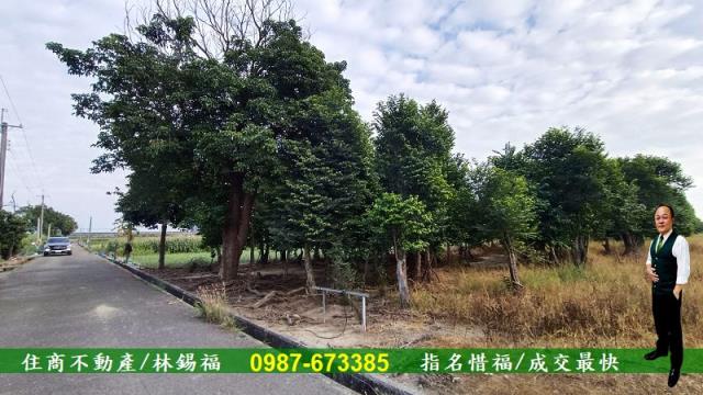 台南善化農地-1