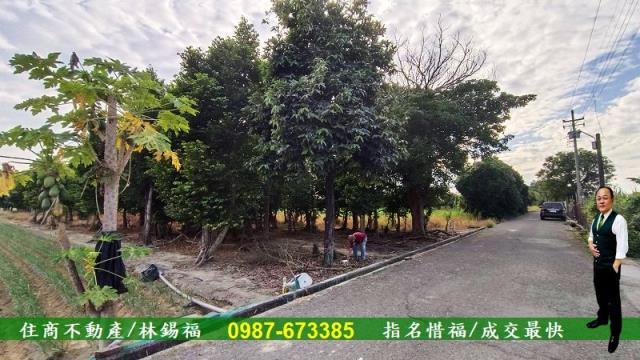 台南善化農地-2