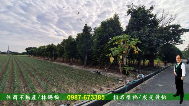 台南善化農地-3