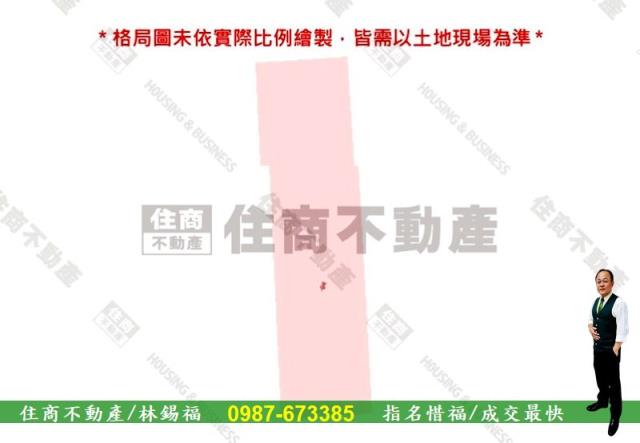 台南善化農地-8