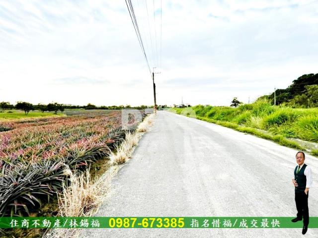 關廟農地-9