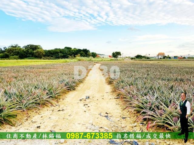 關廟農地-12