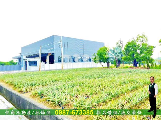 關廟農地-0
