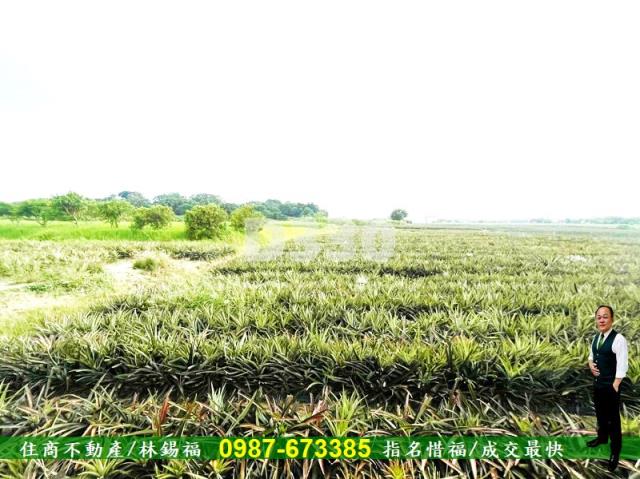 關廟農地-1