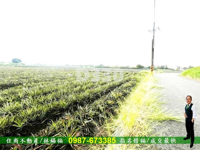 關廟農地-5