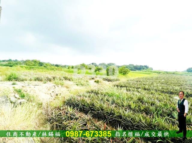 關廟農地-7