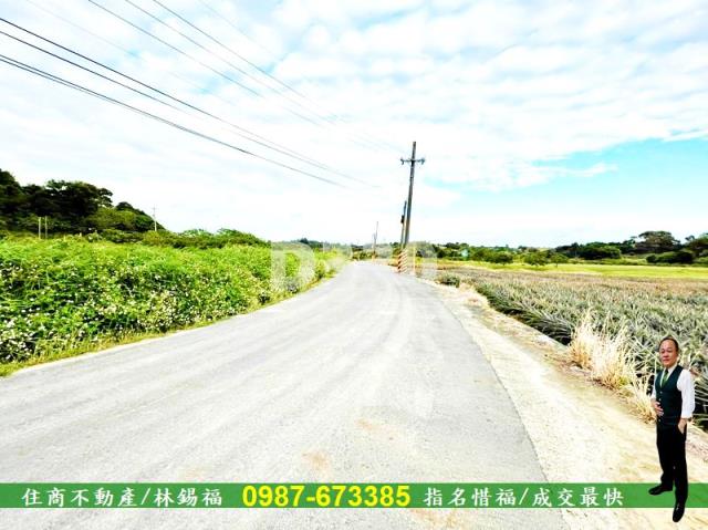 關廟農地-8